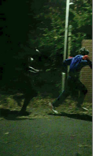 El Batman de Cumbria en plena persecución (vía Cumbria Superheroes).